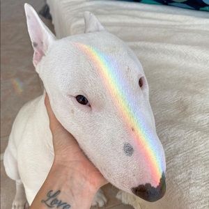 Meet your Posher, Conrad